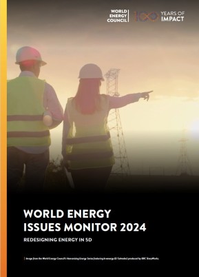New Zealand Energy Issues Monitor 2024